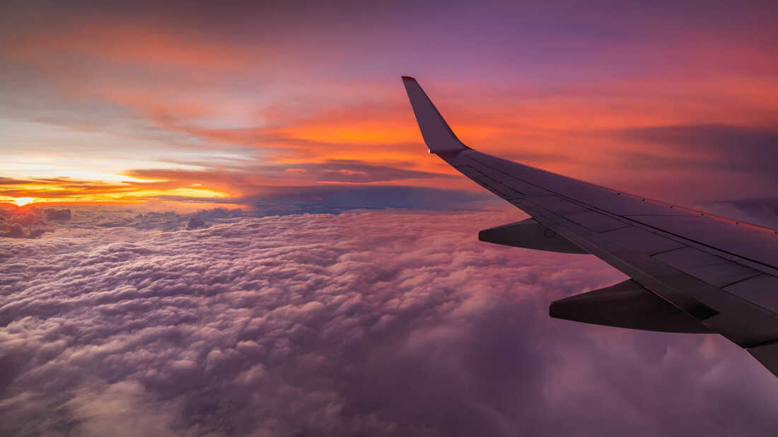 domestic_flights